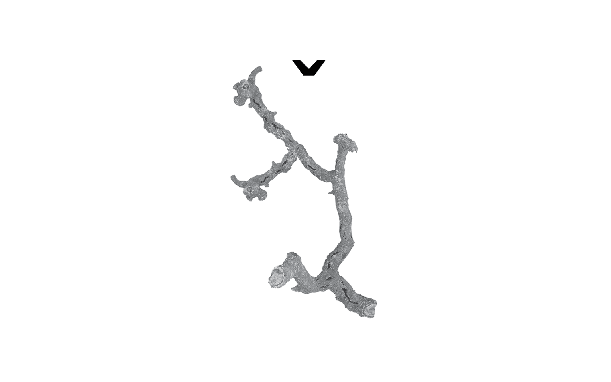 wwl14